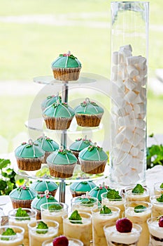 Wedding cupcake tower stand with turquoise cakes.