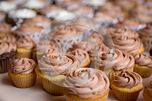 Wedding Cupcakes with Chocolate Frosting