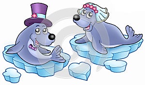 Wedding with cute seals