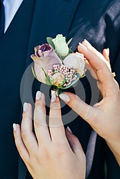 The bride attaches the wedding boutonet to the groom`s jacket photo