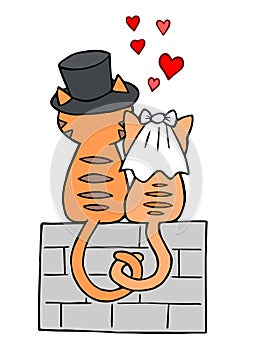 Día de la boda gatos enamorado 