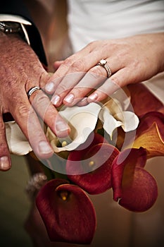 Wedding day hands