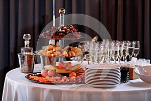 Wedding day reception. Buffet table. Catering service. Plates with berries, raspberry, blackberry.Delicious gourmet food for