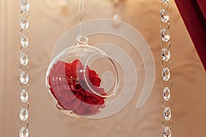 Wedding decor. stylish glass vase with red flower hanging in res