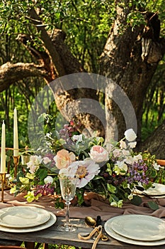 wedding decorated table, decor wedding dinner in nature in the garden
