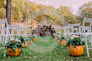 Wedding decoration with autumn pumpkins and flowers. Ceremony outdoor in the park. White chairs for guests