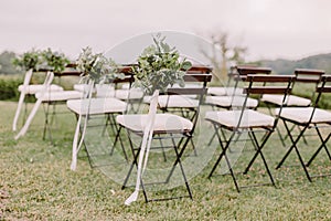 Wedding decoration chairs in rustic green style