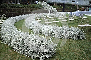 Wedding Decoration White and purple Flower, Fairytales with Nightsky stars outdoors