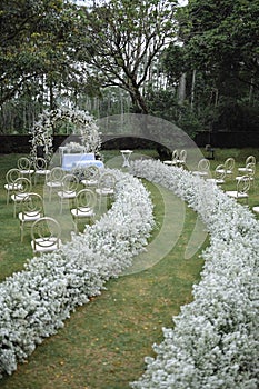 Wedding Decoration White and purple Flower, Fairytales with Nightsky stars outdoors