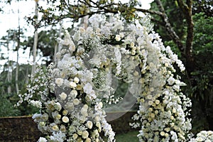 Wedding Decoration White and purple Flower, Fairytales with Nightsky stars outdoors