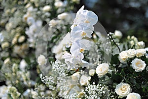 Wedding Decoration White and purple Flower, Fairytales with Nightsky stars outdoors.