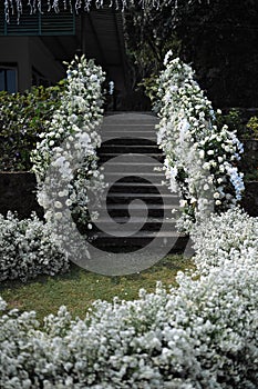 Wedding Decoration White and purple Flower, Fairytales with Nightsky stars outdoors.