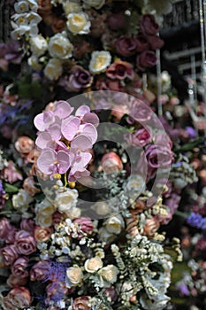 Wedding Decoration White and purple Flower, Fairytales with Nightsky stars outdoors.