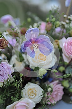 Wedding Decoration White and purple Flower, Fairytales with Nightsky stars outdoors.