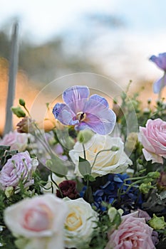 Wedding Decoration White and purple Flower, Fairytales with Nightsky stars outdoors.