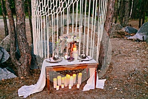 Wedding decorations in rustic style. Outing ceremony. Wedding in nature.