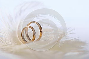 Wedding delicate background with rings and feather. Tenderness, tender love concept