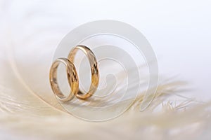 Wedding delicate background with rings and feather. Tenderness, tender love concept