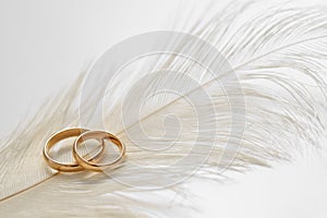 Wedding delicate background with rings and feather. Tenderness, tender love concept