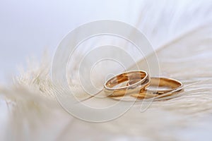 Wedding delicate background with rings and feather. Tenderness, tender love concept