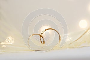 Wedding delicate background. Tenderness, tender love concept