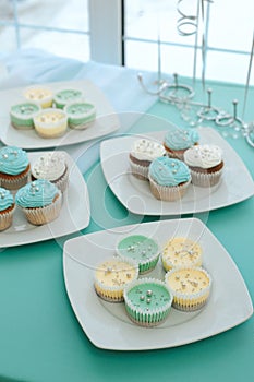 Wedding dessert table with cupcakes