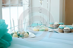 Wedding dessert table with cupcakes and cakepops