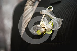 Wedding details - elegant groom dressed wedding tuxedo costume