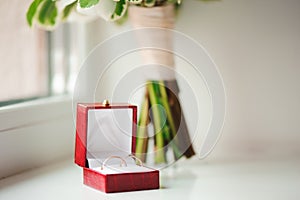 Wedding details - wedding rings as symbol of happiness