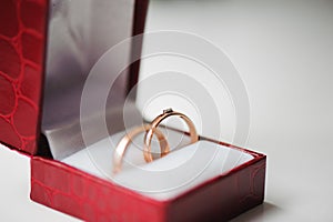 Wedding details - wedding rings as symbol of happiness
