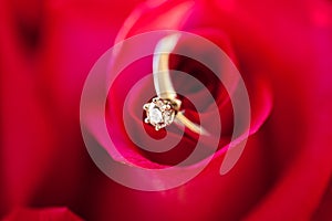 Wedding diamond Ring in Rose, Will you marry me?