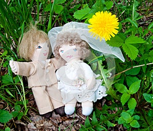 Wedding dolls under a dandelion