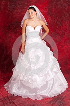 Wedding dress on fashion model