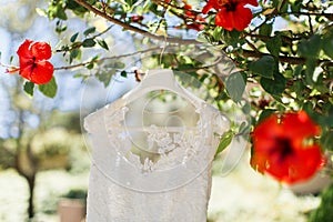 Wedding dress hanging on a tree with flowers