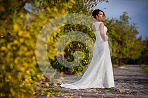 Wedding dress with a train