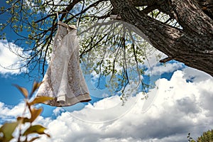 Wedding dress on a tree against a cloudly sky
