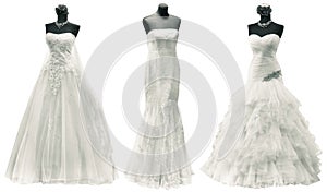 Wedding Dresses Cutout