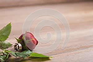 Wedding or engagement ring on stem of beautiful red rose