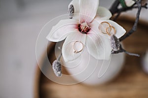 Wedding and engagement rings on petals