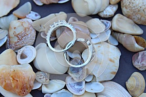 Wedding or engagements rings display with selective focus.