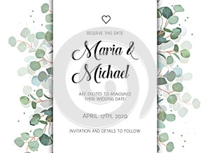 Wedding eucalyptus vertical vector design banner frame. photo