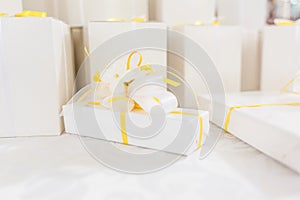 Wedding favors and sugar almonds