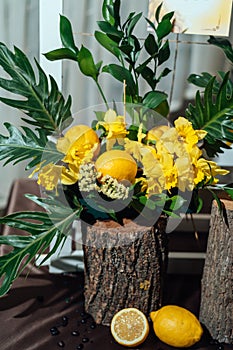Wedding flower arrangements of yellow daffodils, greenery and lemons on stumps, closeup.
