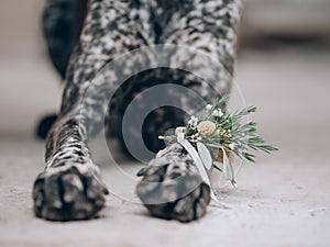 Wedding flower decoration on dog legs