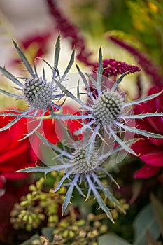 Wedding flowers and bouquet