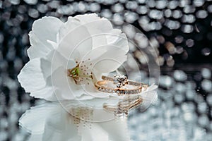 Wedding flowers and wedding rings