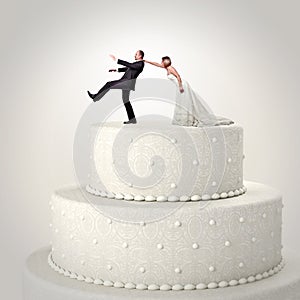 Wedding funny cake