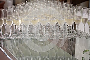 Wedding glasses filled with champagne, ready to be served