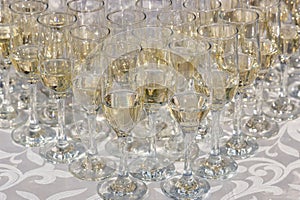 Wedding glasses filled with champagne, ready to be served