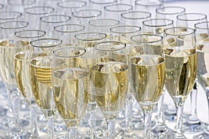 Wedding glasses filled with champagne, ready to be served